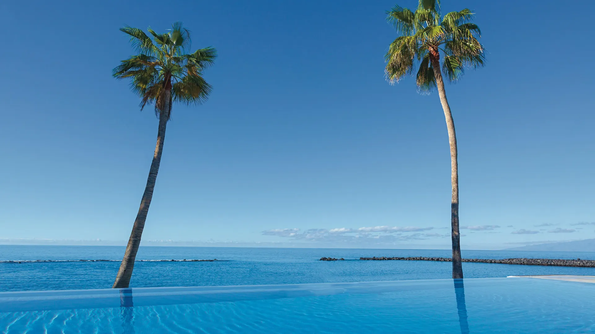 Hotel Riu Arecas (Adults Only) Costa Adeje  4*, Costa Adeje (Tenerife)